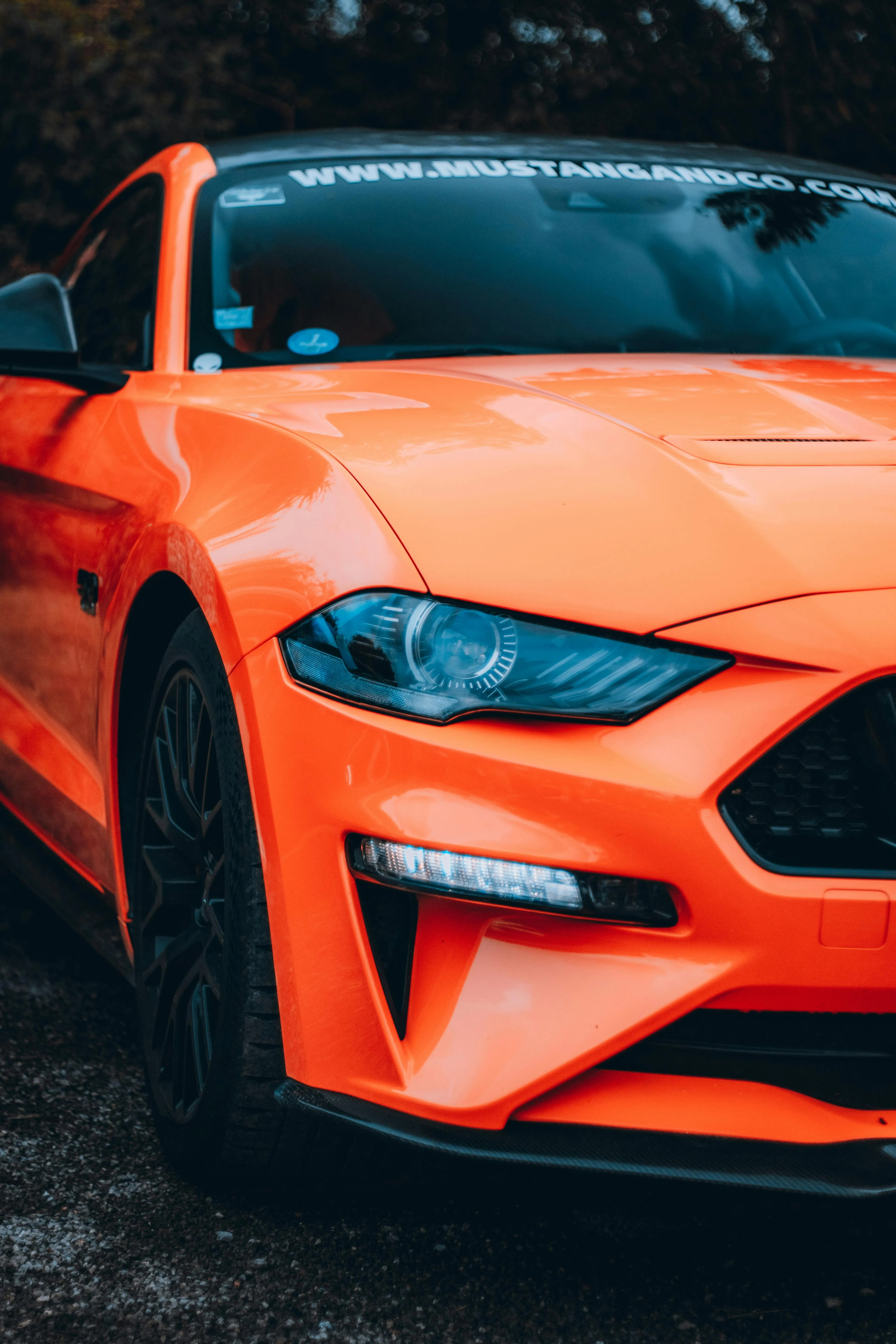 Premium Ceramic Coating